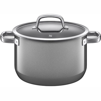 Cocotte Wmf Fusiontec Mineral Platinum Cm Cuisineetcocotte