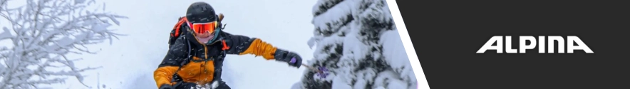 Alpina skibril
