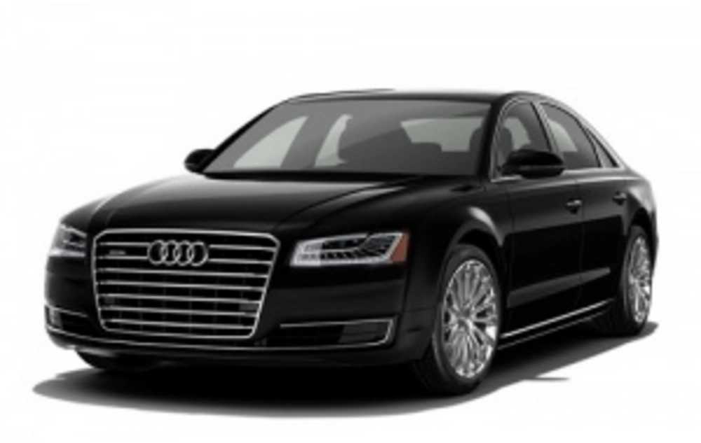 Catene da neve Audi A8