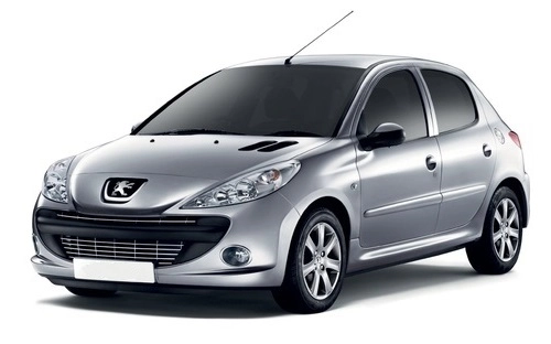 Peugeot 206 catene da neve