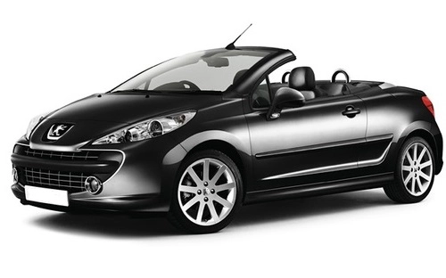 Peugeot 207 cc catene da neve