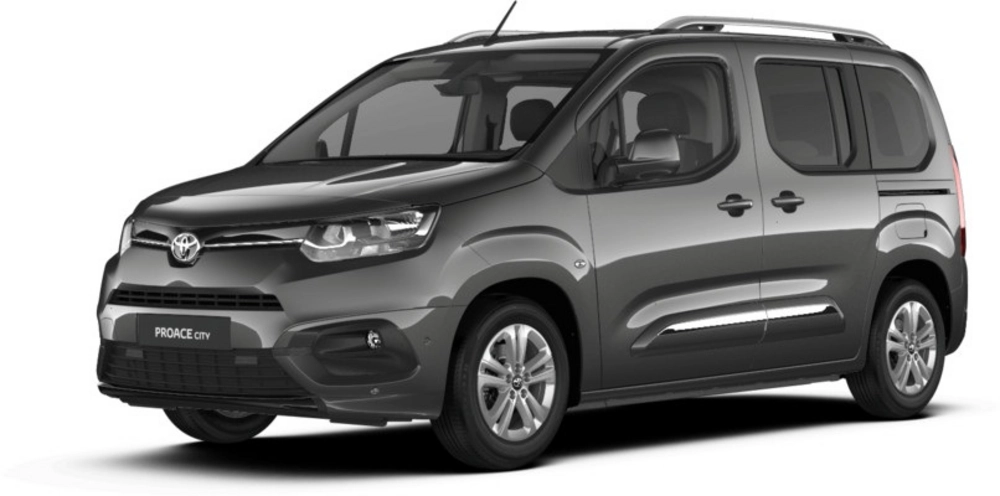 Catene da neve Toyota ProAce City Verso