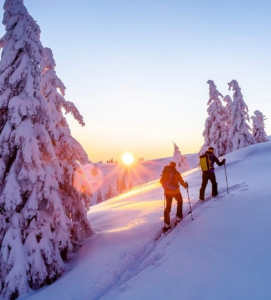 Bâtons de ski