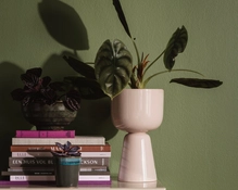 Plantenpotten