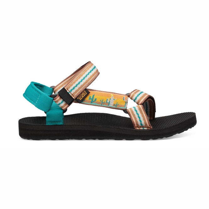 teva cactus