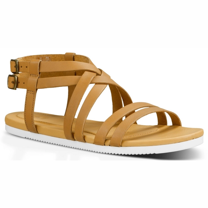 teva avalina crossover