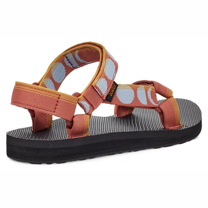 teva haze