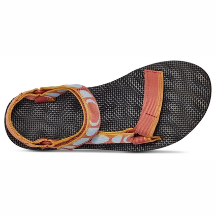 teva haze