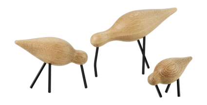 3---Shorebird Small4