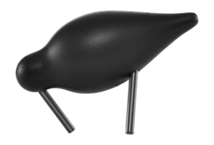 2---Shorebird Small2