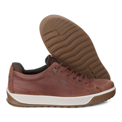 ecco byway tred brandy