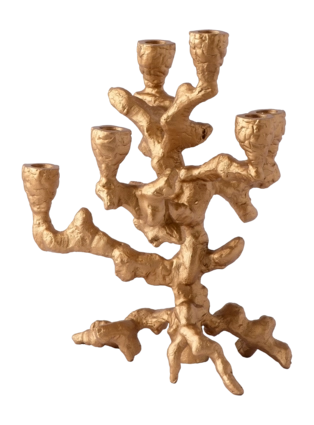 3---390-225-146_3-_no-bg