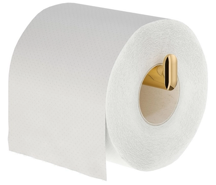3---8720605740942_tiger_cooper_imitp_toiletrollholderlshape_gold