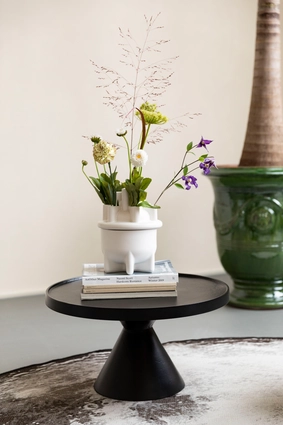 5----Bassin vases 8200042_22