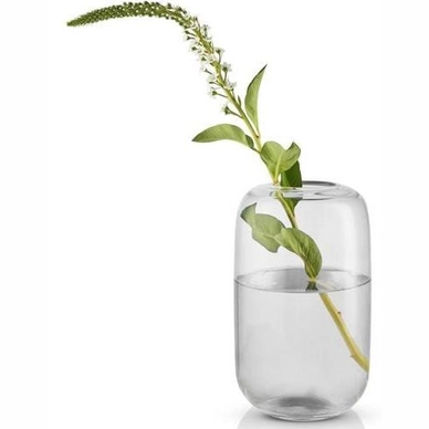 Vaas Eva Solo Acorn Clear 22 cm