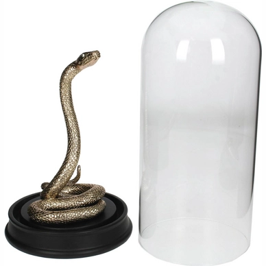 Ornament HD Living Snake Champagne 14 x 14 cm