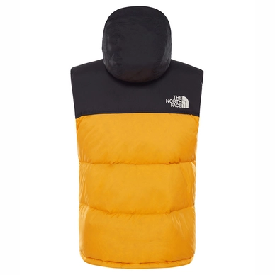 North face nuptse zinnia orange online