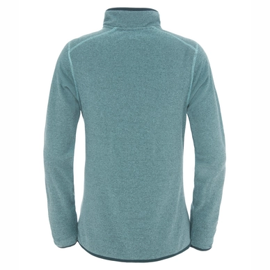 Trui The North Face W 100 Glacier 1/4 Zip Ice Green Stripe