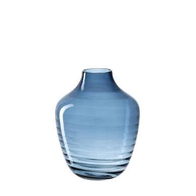 Vaas Leonardo Mota 30 Blauw