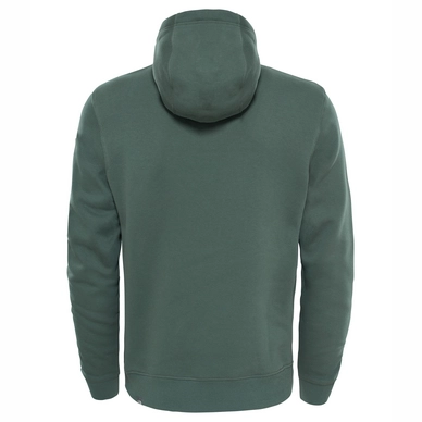 Trui The North Face Men Drew Peak Pullover Hoodie Thyme