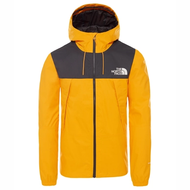 Jas The North Face Men 1990 Mountain Q Zinnia Orange
