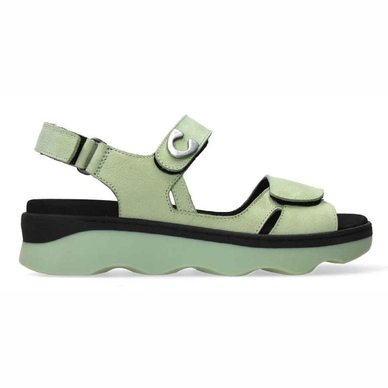 Sandales Wolky Femme Medusa Antique Nubuck Light Green