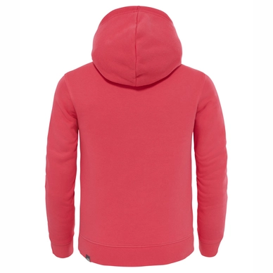Trui The North Face Youth Drew Peak PO Hoodie Honeysuckle Pink