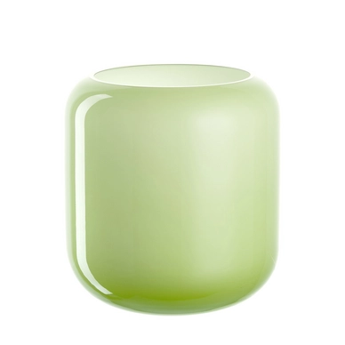 Vaas Leonardo Novello 19 cm Groen Wit