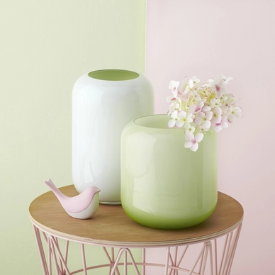 Vaas Leonardo Novello 25 cm Wit Groen