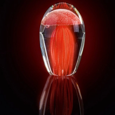 Sculpture Leonardo Jellyfish Oceano 10 Red