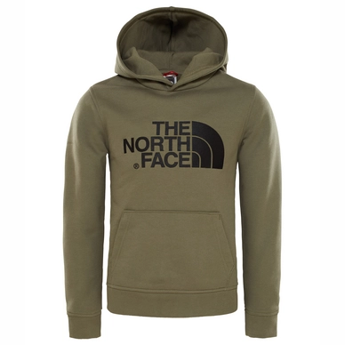 Pull The North Face Youth Drew Peak Hoodie New Taupe Green