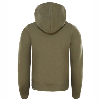 Trui The North Face Youth Drew Peak Hoodie New Taupe Green