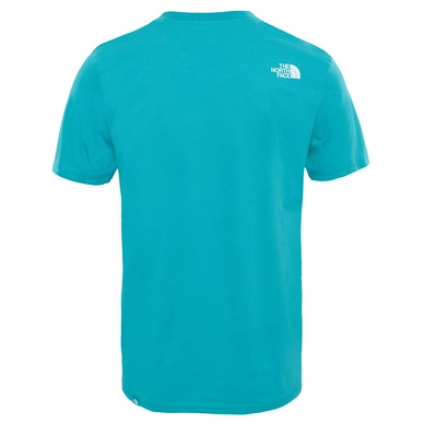 T-Shirt The North Face Men Easy Porcelain Green