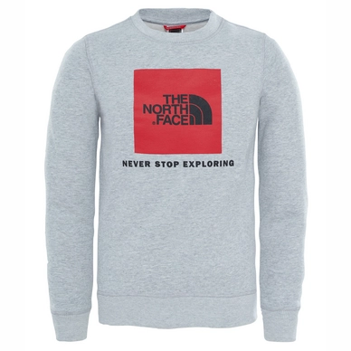 Pullover The North Face Youth Box Crew TNF Light Grey Heather Kinder