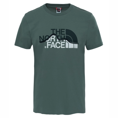 T-Shirt The North Face Men S S Mountain Line Tee Thyme