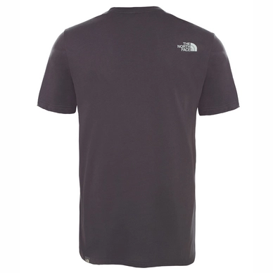 T-Shirt The North Face Men Celebration Easy Asphalt Grey