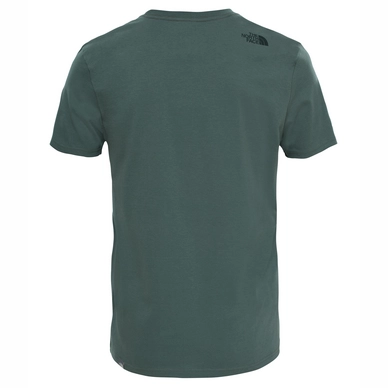 T-Shirt The North Face Men S S Mountain Line Tee Thyme