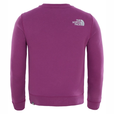 Trui The North Face Youth Drew Peak Crew Wood Violet