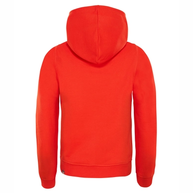 Trui The North Face Youth Drew Peak Hoodie Fiery Red TNF White