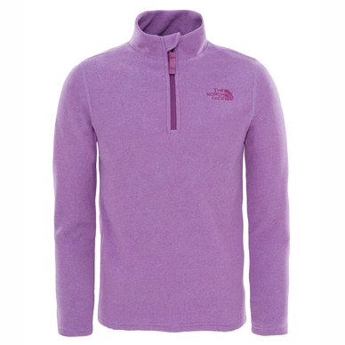 Kinder Trui The North Face Youth Glacier 1/4 Zip Bellflower Purple