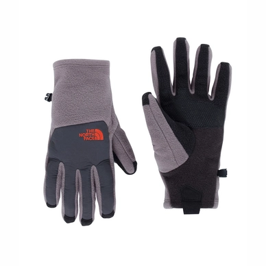 Gloves The North Face Men Denali Etip Grey