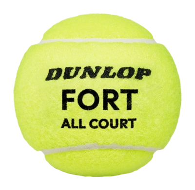 601607_DT24_Fort_20All_20Court_204Ball_3