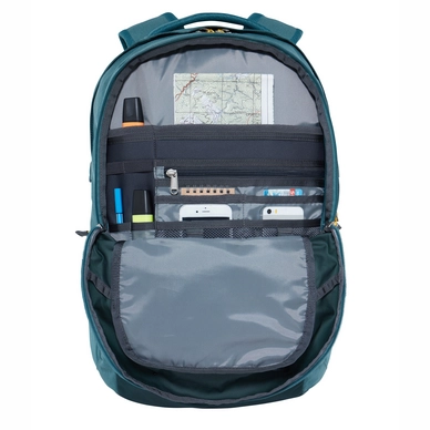 Rugzak The North Face Borealis Dark Stripe Spruce Silver Pine Green Leather