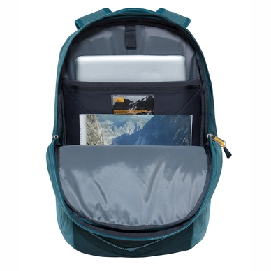 Rugzak The North Face Borealis Dark Stripe Spruce Silver Pine Green Leather