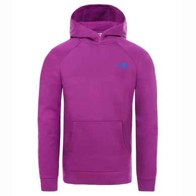 Trui The North Face Men Raglan Red Box Hoodie Phlox Purple