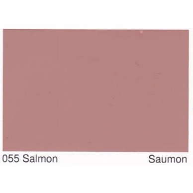 055 Salmon
