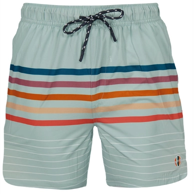 Zwembroek Barts Men Cruz Shorts Dark Celadon