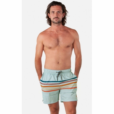 0570_cruz-shorts_14_amf