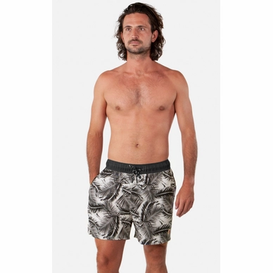 0598_darwin-shorts_01_amf