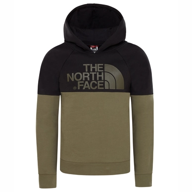 Pull The North Face Youth Drew Peak Raglan Hoodie New Taupe Green TNF Black